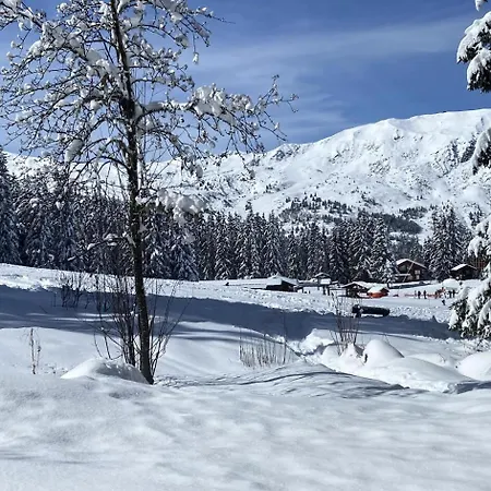 Sylvanelles - De Charme - Face Aux Pistes Mae-5104 公寓 *